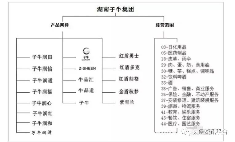 湖南子牛集團更名子康生活，沉寂兩年后攜新定位“重出江湖”