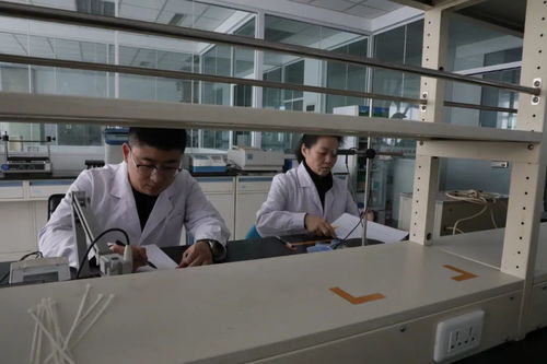九三食品公司 每一滴都是放心油，研發(fā)與技術轉讓引領健康新食尚